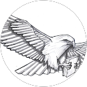 Deana Beecher profile picture